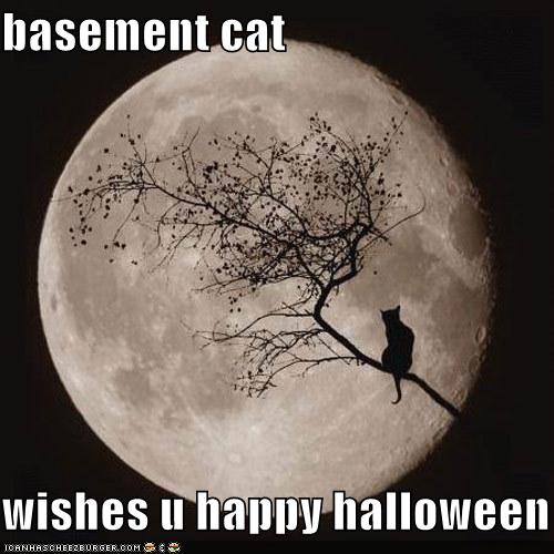basement-cat-halloween.jpg