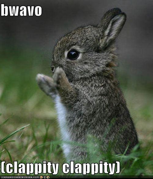 Bravo Bunny applauds you!