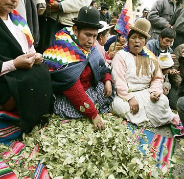 coca-cholitas.jpg