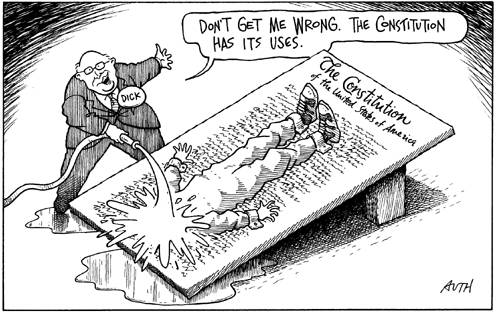 constitutional-waterboarding.jpg