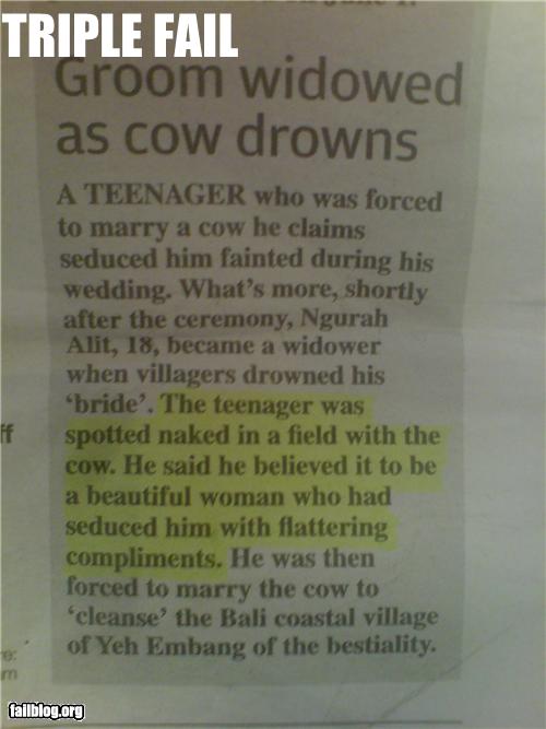 cow-drown-fail.jpg