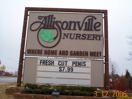 fresh-cut-penis.jpg