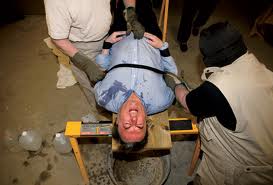 hitchens-waterboarded.jpg