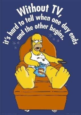 Homer Simpson watches Venezuelan private TV. Explains a lot!