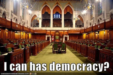 i-can-has-democracy.jpg