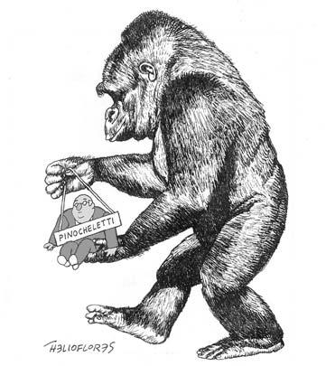 tegucigolpe-gorila.jpg