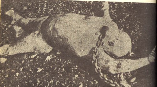 alberto-lovera-dead