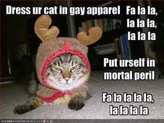 gay-apparel-cat.jpg