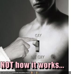 gay-not-gay.jpg