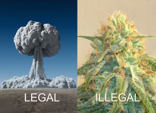 legal-illegal.jpg