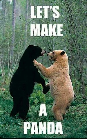 lets-make-a-panda.jpg