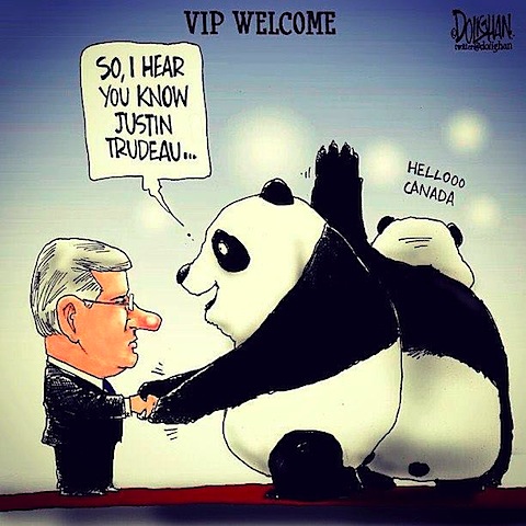 panda-vips.jpg